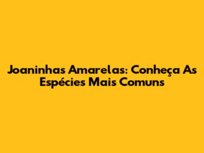 Joaninhas Amarelas: Conheça As Espécies Mais Comuns
