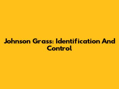Johnson Grass: Identification And Control