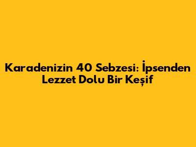 Karadeniz'in 40 Sebzesi: İpsen'den Lezzet Dolu Bir Keşif