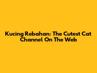 Kucing Rebahan: The Cutest Cat Channel On The Web