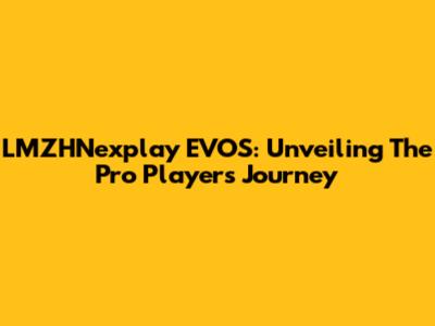 LMZHNexplay EVOS: Unveiling The Pro Player's Journey