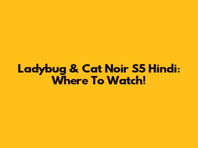 Ladybug & Cat Noir S5 Hindi: Where To Watch!