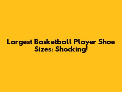 Largest Basketball Player Shoe Sizes: Shocking!