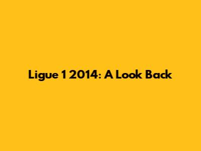 Ligue 1 2014: A Look Back