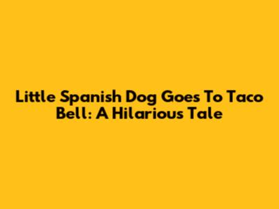 Little Spanish Dog Goes To Taco Bell: A Hilarious Tale