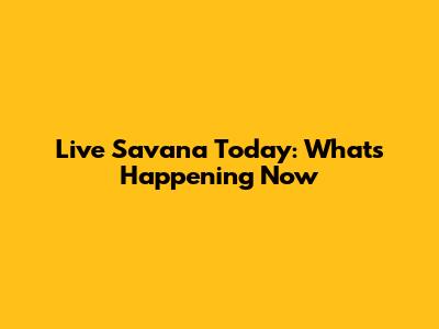 Live Savana Today: What's Happening Now