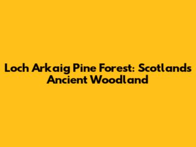 Loch Arkaig Pine Forest: Scotland's Ancient Woodland
