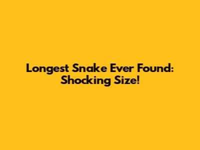 Longest Snake Ever Found: Shocking Size!