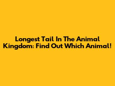 Longest Tail In The Animal Kingdom: Find Out Which Animal!