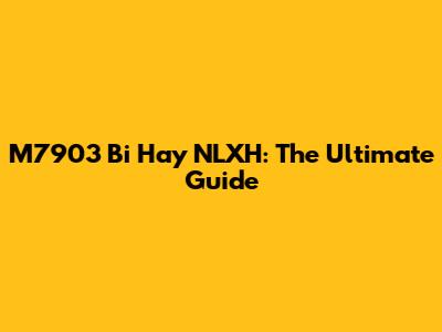 M7903 Bi Hay NLXH: The Ultimate Guide