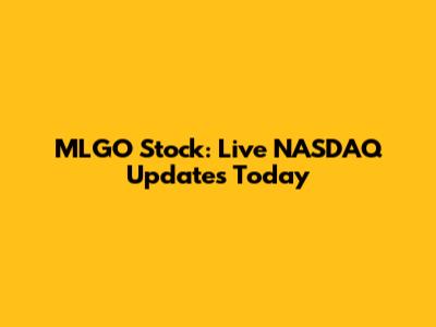 MLGO Stock: Live NASDAQ Updates Today