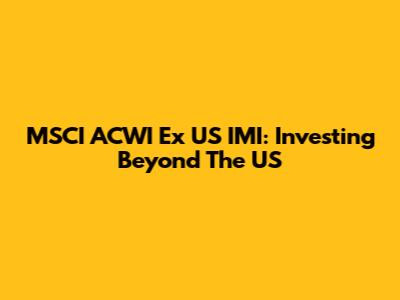 MSCI ACWI Ex US IMI: Investing Beyond The US