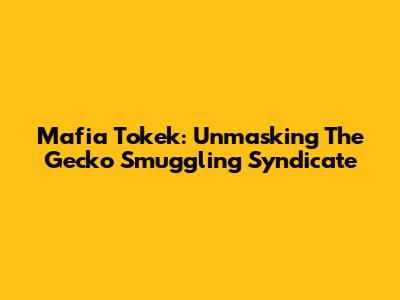 Mafia Tokek: Unmasking The Gecko Smuggling Syndicate