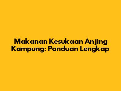 Makanan Kesukaan Anjing Kampung: Panduan Lengkap