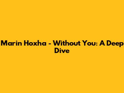 Marin Hoxha - Without You: A Deep Dive