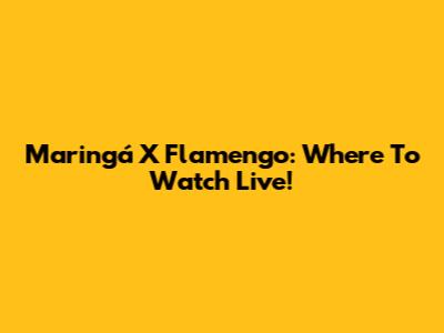 Maringá X Flamengo: Where To Watch Live!
