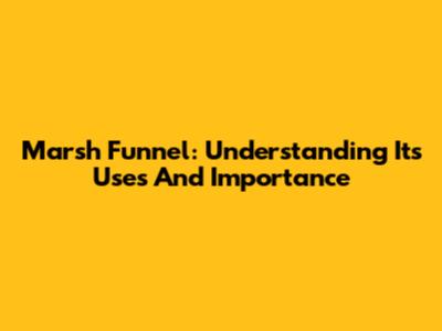 Marsh Funnel: Understanding Its Uses And Importance