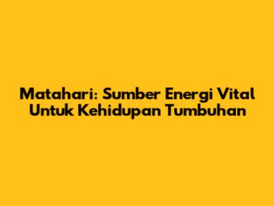 Matahari: Sumber Energi Vital Untuk Kehidupan Tumbuhan
