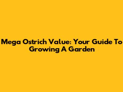 Mega Ostrich Value: Your Guide To Growing A Garden