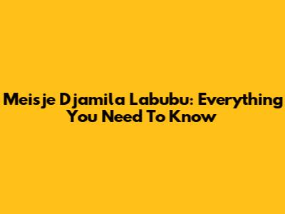 Meisje Djamila Labubu: Everything You Need To Know