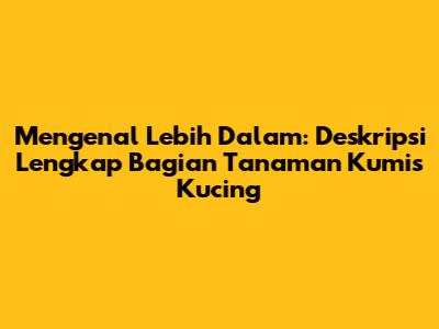 Mengenal Lebih Dalam: Deskripsi Lengkap Bagian Tanaman Kumis Kucing