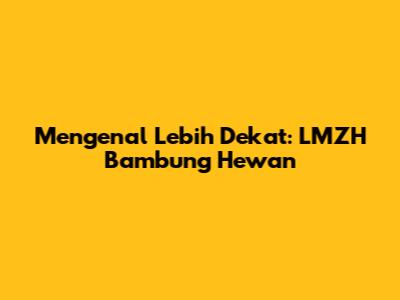 Mengenal Lebih Dekat: LMZH Bambung Hewan