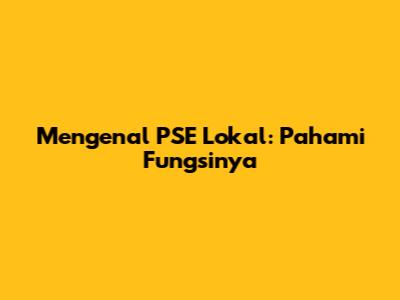 Mengenal PSE Lokal: Pahami Fungsinya