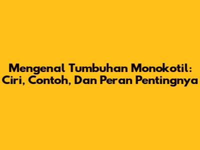 Mengenal Tumbuhan Monokotil: Ciri, Contoh, Dan Peran Pentingnya