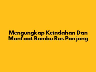 Mengungkap Keindahan Dan Manfaat Bambu Ros Panjang