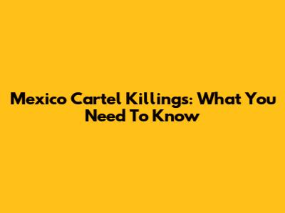 Mexico Cartel Killings: What You Need To Know