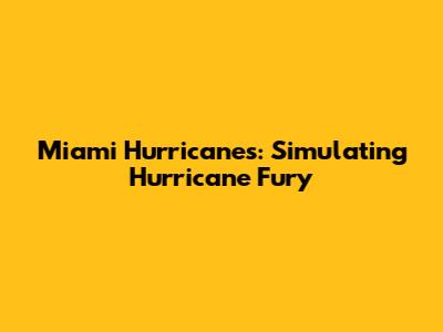 Miami Hurricanes: Simulating Hurricane Fury