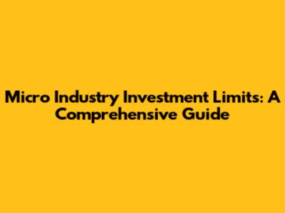 Micro Industry Investment Limits: A Comprehensive Guide