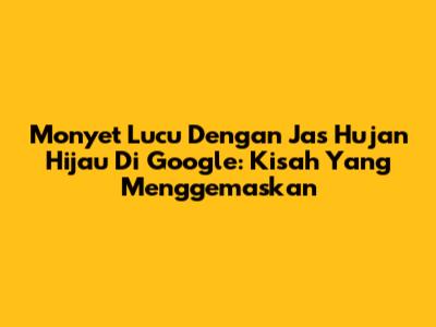 Monyet Lucu Dengan Jas Hujan Hijau Di Google: Kisah Yang Menggemaskan