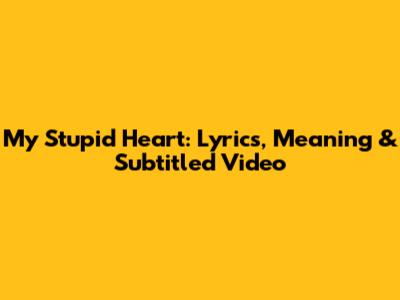 My Stupid Heart: Lyrics, Meaning & Subtitled Video