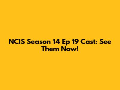 NCIS Season 14 Ep 19 Cast: See Them Now!