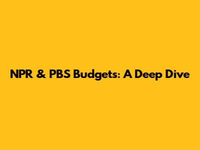 NPR & PBS Budgets: A Deep Dive