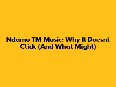Ndamu TM Music: Why It Doesn't Click (And What Might)