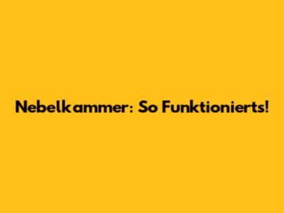 Nebelkammer: So Funktioniert's!