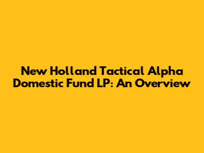 New Holland Tactical Alpha Domestic Fund LP: An Overview
