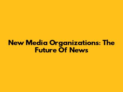 New Media Organizations: The Future Of News