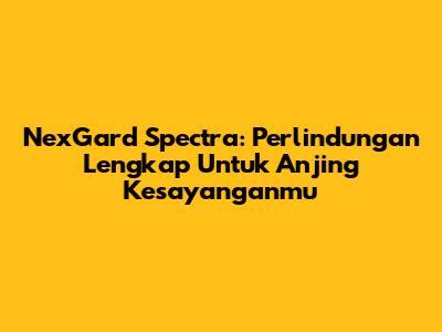 NexGard Spectra: Perlindungan Lengkap Untuk Anjing Kesayanganmu