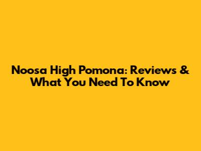 Noosa High Pomona: Reviews & What You Need To Know