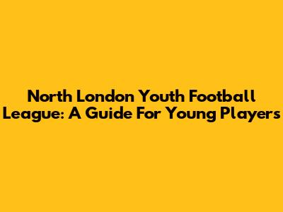 North London Youth Football League: A Guide For Young Players