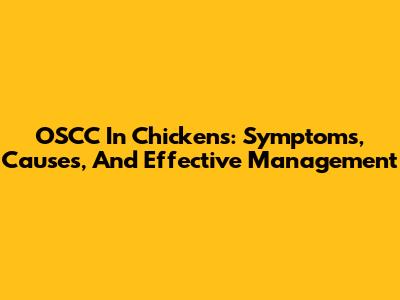 OSCC In Chickens: Symptoms, Causes, And Effective Management