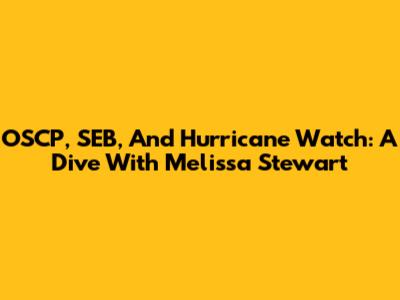 OSCP, SEB, And Hurricane Watch: A Dive With Melissa Stewart