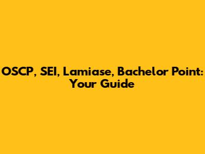 OSCP, SEI, Lamiase, Bachelor Point: Your Guide