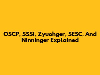 OSCP, SSSI, Zyuohger, SESC, And Ninninger Explained