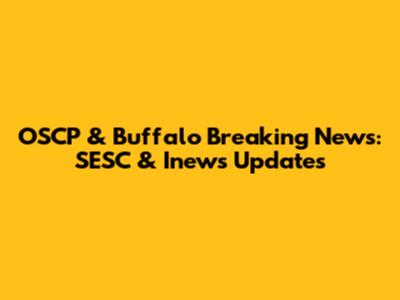 OSCP & Buffalo Breaking News: SESC & Inews Updates
