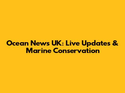 Ocean News UK: Live Updates & Marine Conservation