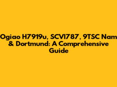 Ogiao H7919u, SCVI787, 9TSC Nam & Dortmund: A Comprehensive Guide